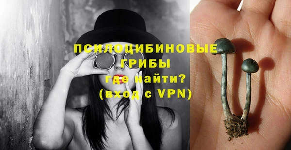скорость Приозерск
