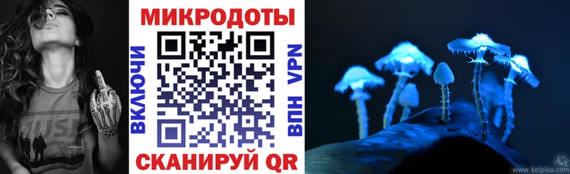 Псилоцибиновые грибы Cubensis  сколько стоит  Саров 