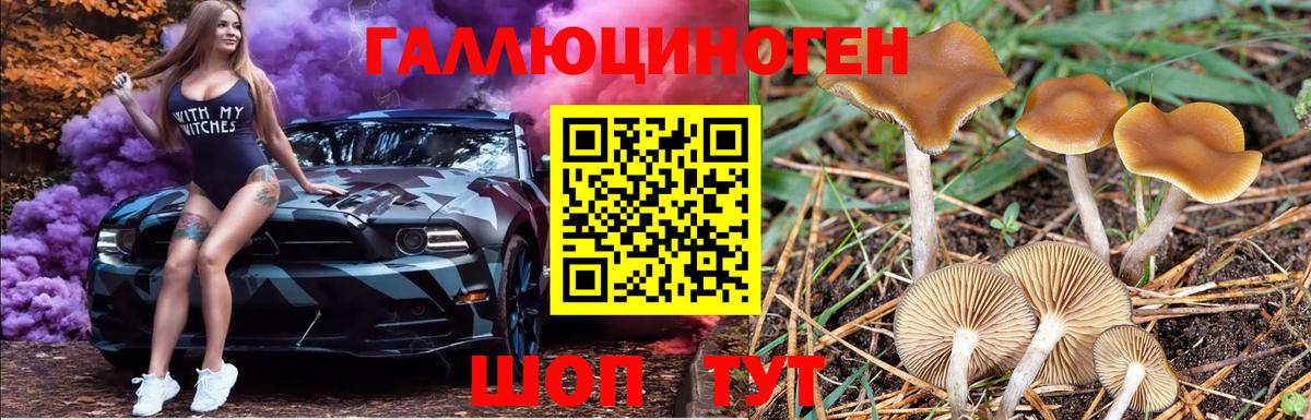 Галлюциногенные грибы Cubensis  Вход с VPN  Саров  Галлюциногенные грибы мицелий 