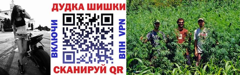 как найти   MEGA маркетплейс  Бошки Шишки тримм  Саров 